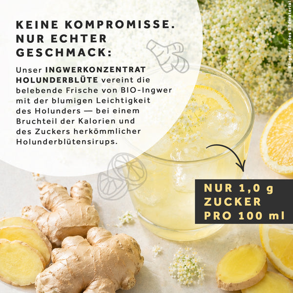 organic ginger concentrate classic