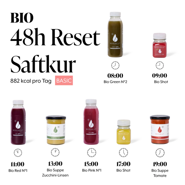 48h Saftkur Reset