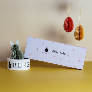 Bio Bergshot Geschenkbox Frohe Ostern - 7er Ingwershot Mix in Glasfläschchen
