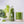 BIO Green Bundle