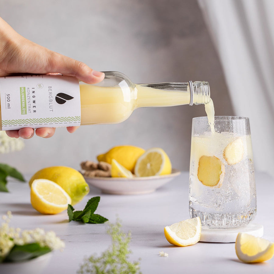 Das Bergblut Bio-Ingwerkonzentrat Holunderblüte wird in ein Glas mit frischen Zitronenscheiben eingegossen
