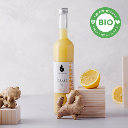 organic ginger concentrate classic image