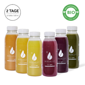 2-day organic juice cleanse