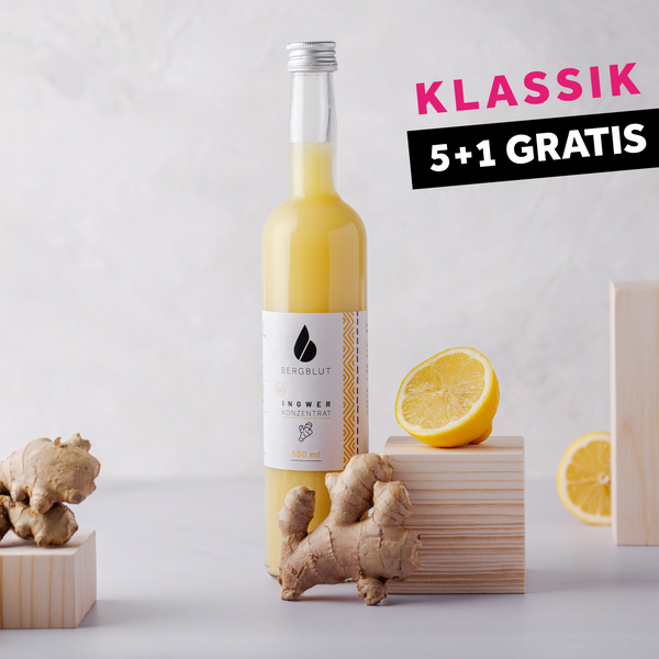 BIO Ingwerkonzentrat 5+1 Black Week