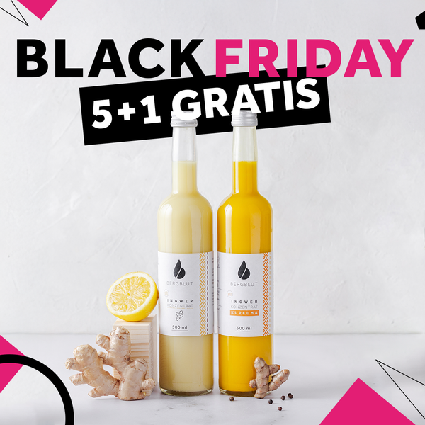 BIO Ingwerkonzentrat 5+1 Black Week