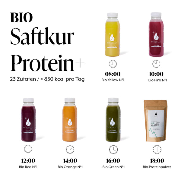 BIO SAFTKUR PROTEIN+