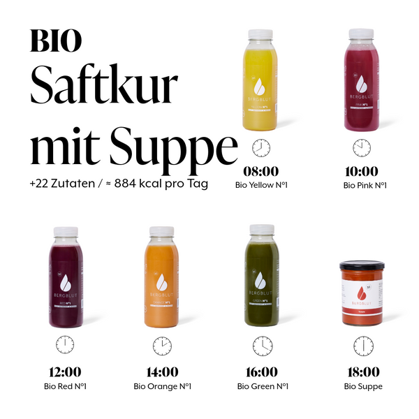 Bio Suppenkur