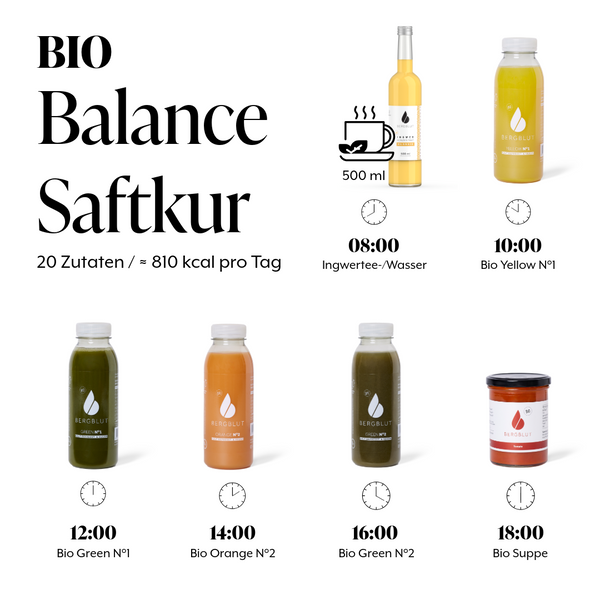 Bio Saftkur Balance 3 Tage