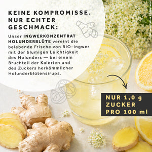 BIO Ingwerkonzentrat Holunderblüte