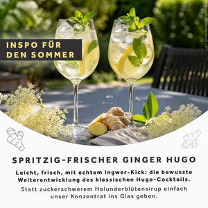 BIO Ingwerkonzentrat Holunderblüte