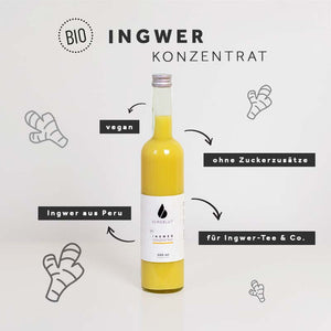 BIO Ingwerkonzentrat Klassik