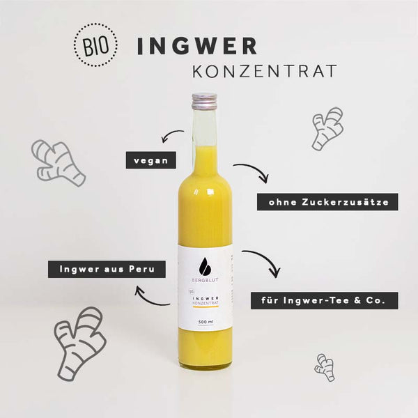 BIO Ingwerkonzentrat Klassik